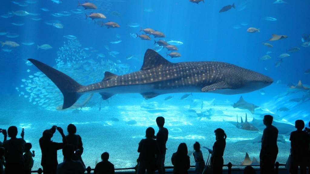 History and Significance of Aquarium de Paris