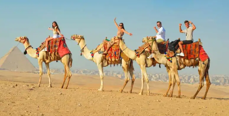 Wadi El Rayan camel ride